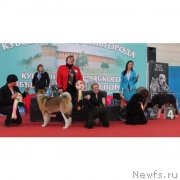 Превью фото № 123717