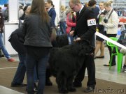 Превью фото № 123718