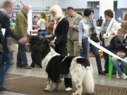 Превью фото № 123723