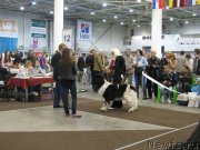 Превью фото № 123727