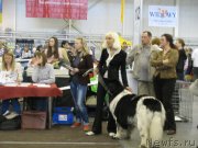 Превью фото № 123728