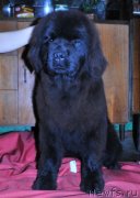 Превью фото № 123751