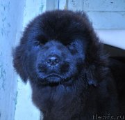 Превью фото № 123752