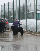 Превью фото № 123765