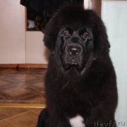 Превью фото № 123777