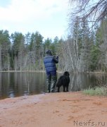 Превью фото № 123782