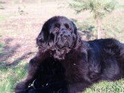 Превью фото № 123808