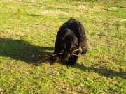 Превью фото № 123809