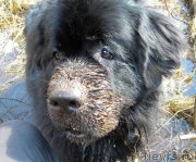 Превью фото № 123846