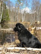 Превью фото № 123872