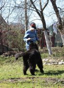 Превью фото № 123875