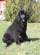 Превью фото № 123881