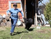 Превью фото № 123885