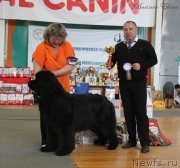 Превью фото № 123907