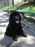 Превью фото № 123926