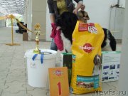 Превью фото № 123967