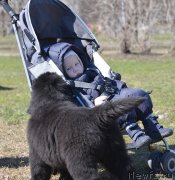 Превью фото № 123984