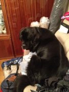 Превью фото № 124097