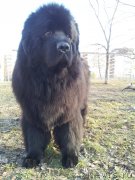 Превью фото № 124104