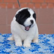 Превью фото № 124148