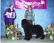 Превью фото № 124162