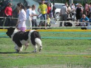 Превью фото № 124189