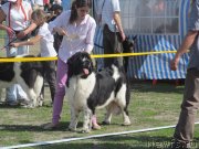 Превью фото № 124190