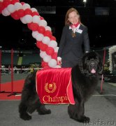 Превью фото № 124248