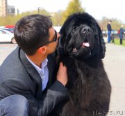 Превью фото № 124254