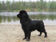 Превью фото № 124255