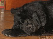 Превью фото № 124256