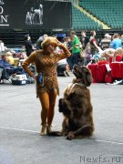 Превью фото № 124271