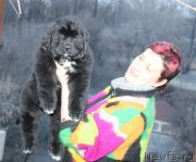 Превью фото № 124301