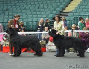 Превью фото № 124329
