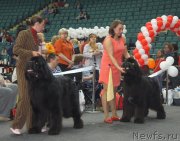 Превью фото № 124331