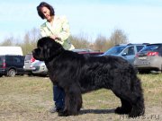 Превью фото № 124376