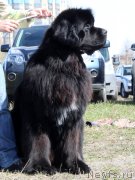 Превью фото № 124377