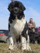 Превью фото № 124383