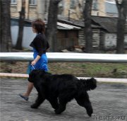 Превью фото № 124390