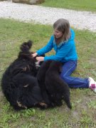 Превью фото № 124424