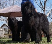 Превью фото № 124477