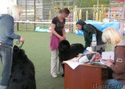 Превью фото № 124550