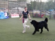 Превью фото № 124551