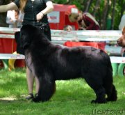 Превью фото № 124587