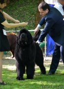 Превью фото № 124591