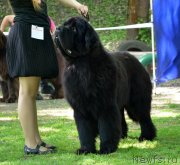 Превью фото № 124595