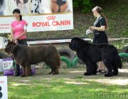 Превью фото № 124612