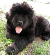 Превью фото № 124626