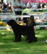 Превью фото № 124629