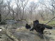 Превью фото № 124632